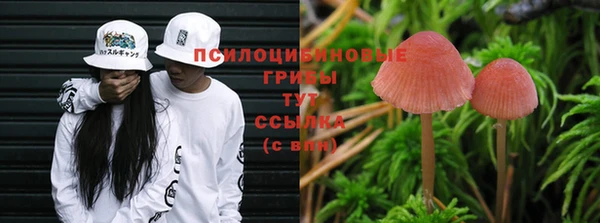 прущий лед Заводоуковск