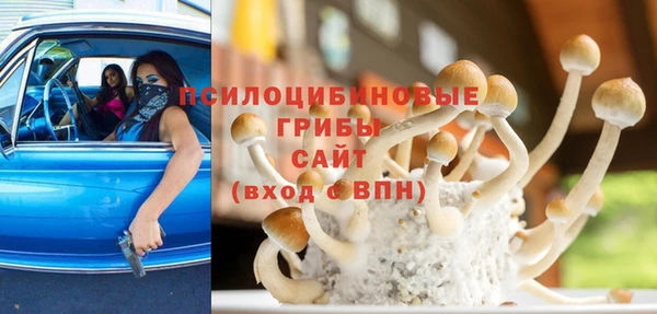 гашиш Абаза
